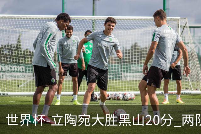 世界杯-立陶宛大胜黑山20分 两队携手晋级16强