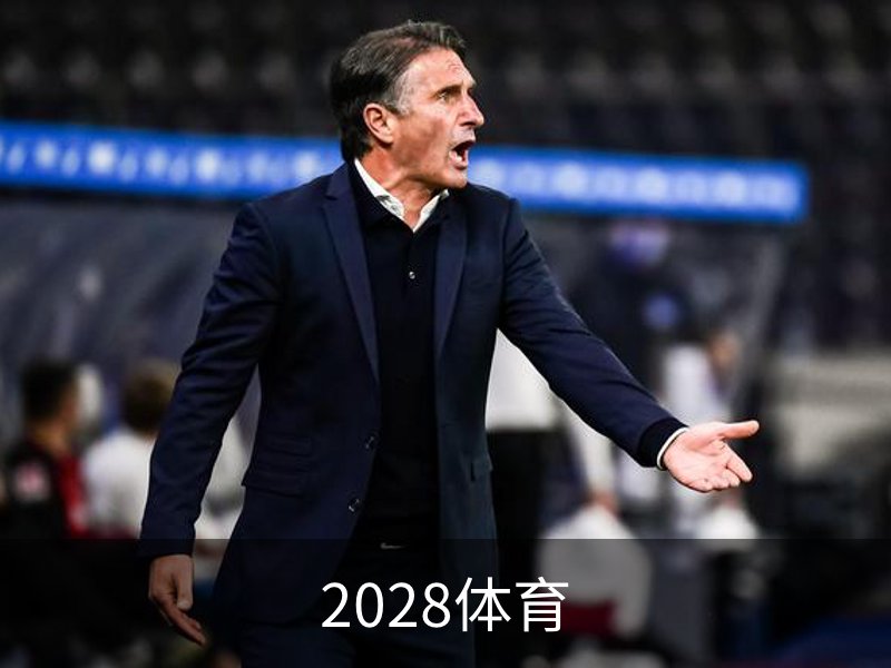 2028体育品牌故事